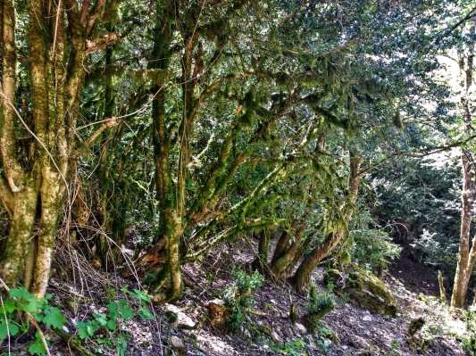 31179915_10156453892763447_5761653792420397056_n