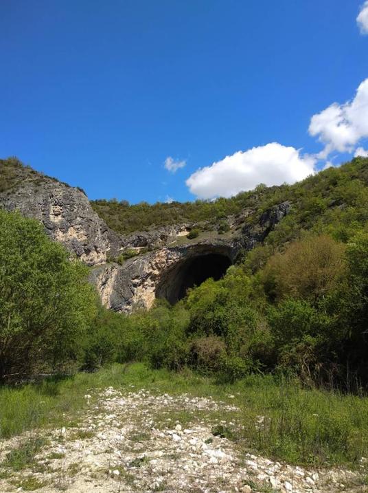 31189751_10156453888273447_5054433748632731648_n