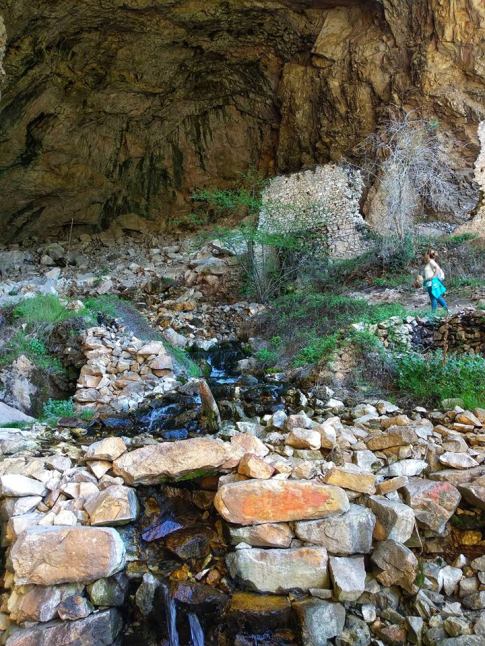 31206219_10156453894433447_7472419865773473792_n