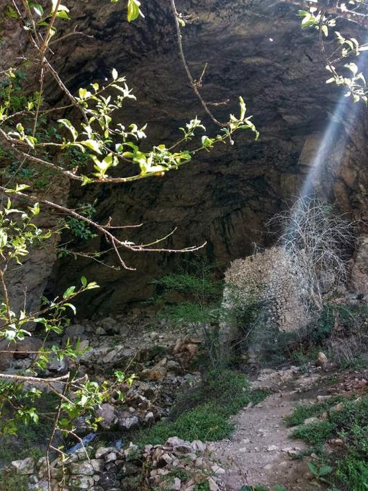 31292783_10156453892128447_6063438041681231872_n