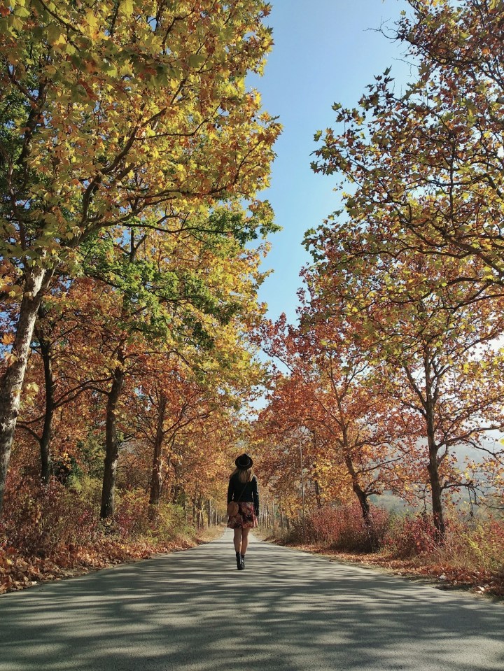 IMG_20181024_132854875-01-01