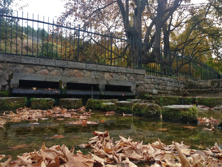 IMG_20181029_102727-01