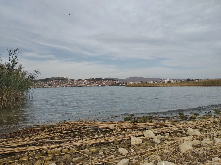 IMG_20181029_104553-01