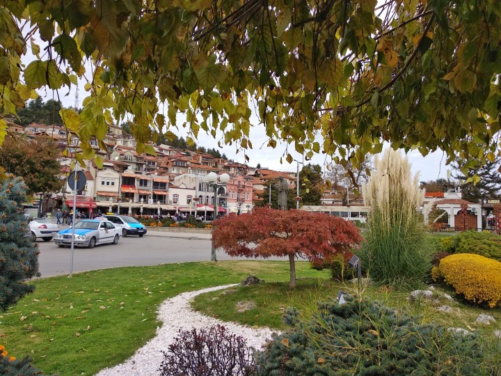 IMG_20181029_113450-01