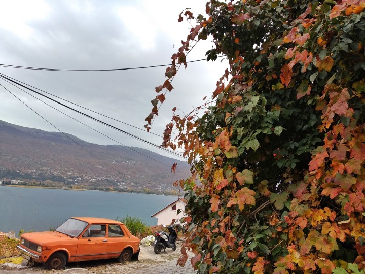 IMG_20181029_120110-01