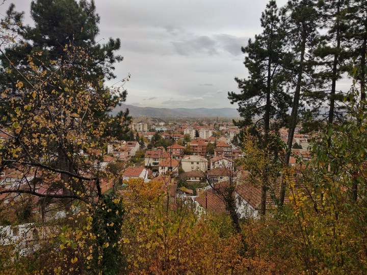 IMG_20181029_125247-01