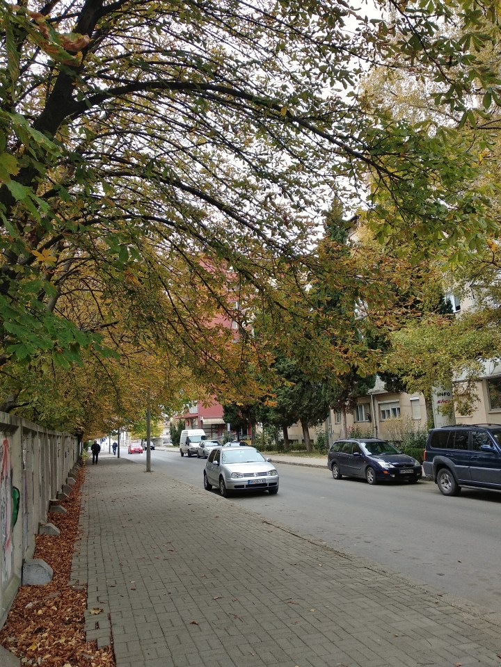 IMG_20181029_131537-01